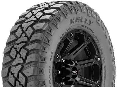 KELLY SAFARI MT